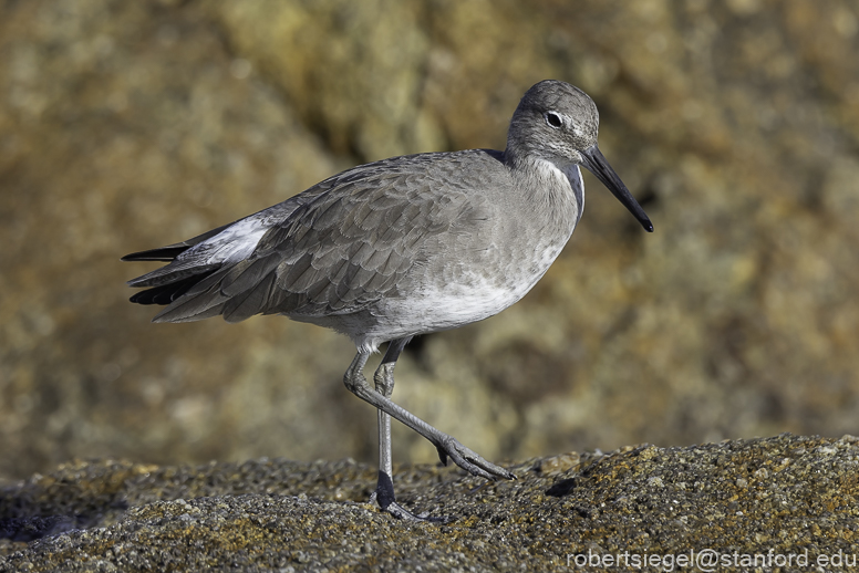 asilomar